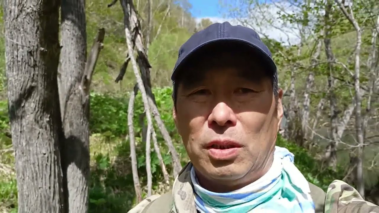 Рассказ про охоту на медведя - добыл, весна 2025 г. опубликовано 17.06.2025.