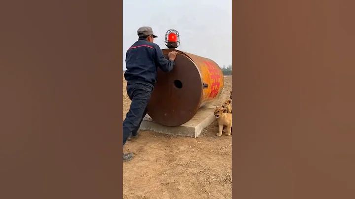 Industrial Automation: The Beautiful, Brutal Ballet of Machines