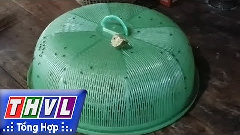 THVL | Người đưa tin 24G: Người dân sống cạnh bãi rác ở Cần Thơ  khốn khổ vì bị ruồi bao vây