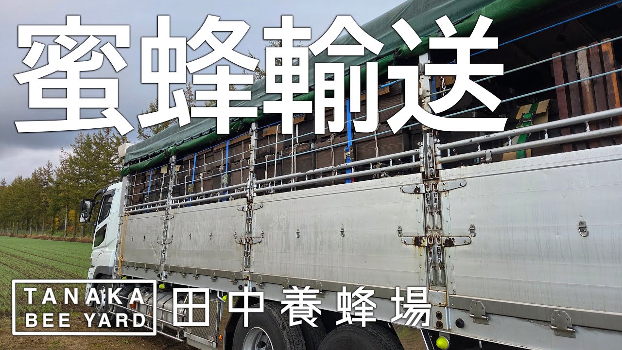北海道から蜜蜂が帰還する