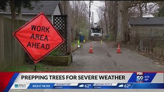 AES crews trimming trees to reduce power outages