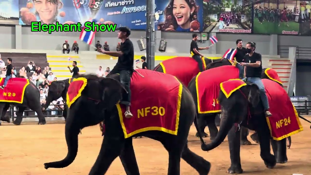 Metta Padma mengexplorer Thailand