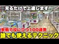 【初心者必見】見るだけで上達するクレーンゲームのテクニック100連発【UFOキャッチャー・クレーンゲーム】