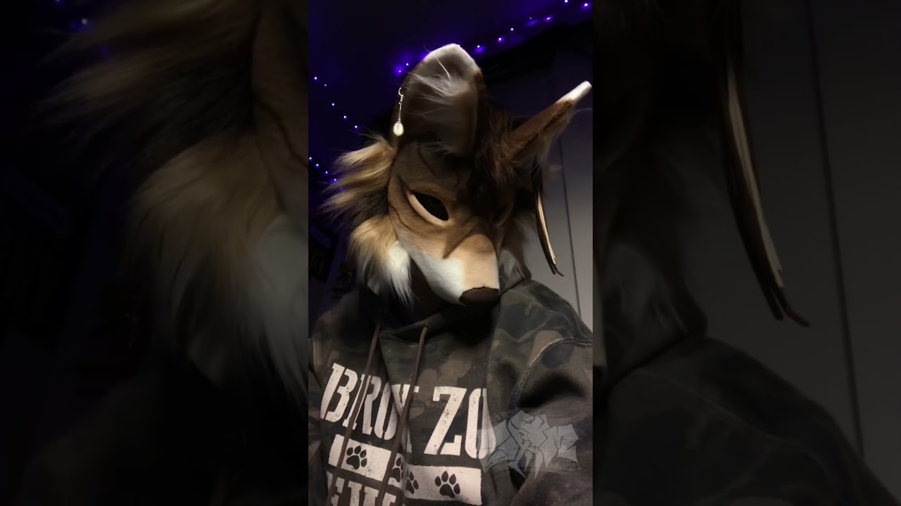 Posting again- let's see how long this lasts LOL 🐾 