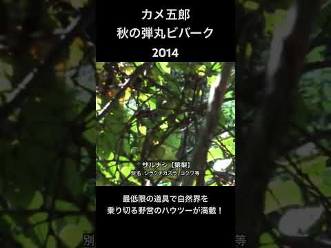 カメ五郎の最低限の道具で乗り切る弾丸サバイバルキャンプ［2014］ #camp #野営 #カメ五郎