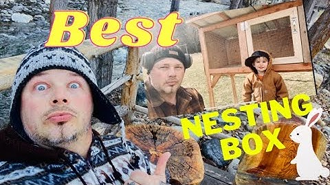 The Perfect Nesting Box | RABBITS | DIY