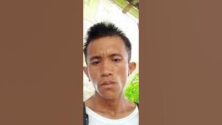 Download lagu lagu joget minang terbaru 2024 pahayo bintang la takim kadatua