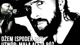 Video thumbnail of "Dżem - Mała Aleja Róż (Spodek 92')"