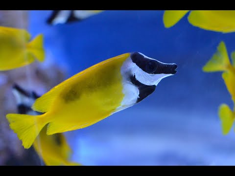 VLOG Океанариум ПЛАНЕТА