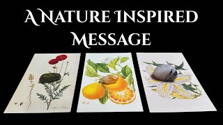 A Nature Inspired Message | Pick A Card 