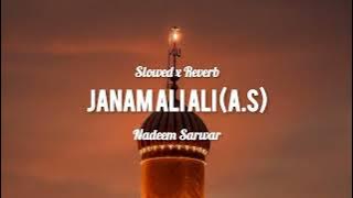 Janum Ali Ali | Slowed x Reverb | Nadeem Sarwar Noha