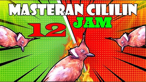 MASTERAN CILILIN DURASI PANJANG 12 JAM|JERNIH|NEMBAK RAPAT GACOR DORRR❗❗❗