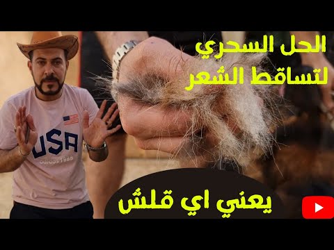 فيديو: هل يتساقط الكلب الألماني ذو الشعر السلكي؟