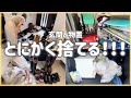【不用品の買取価格は！？】秋は断捨離！玄関と物置の余白を作るために物の見直し&捨て活！
