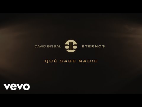 David Bisbal - What Does Anyone Know (Visualizer)