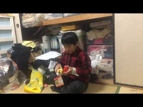 ポケモン
