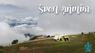 กางเต็นท์ภูทับเบิก 2022 ทะเลหมอกอลังกาล | ริมผาภูทับเบิก | พาลูกเที่ยว | Camping in Thailand | ASMR