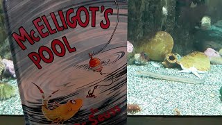 Telequarium: Storytime - McElligot's Pool