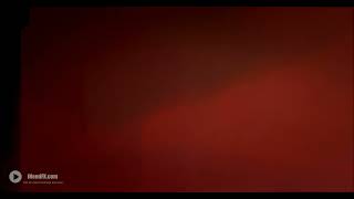 Light Leaks Element 205 - Free Video Footage