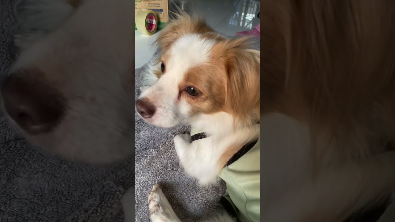 Подробности ниже 