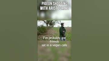 Pigeon Shooting With The Aristocrats  #staceydooley #shooting