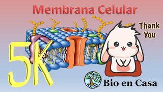 TODO sobre Membrana celular
