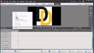 Adobe Elements for Small Business - Lesson 4
