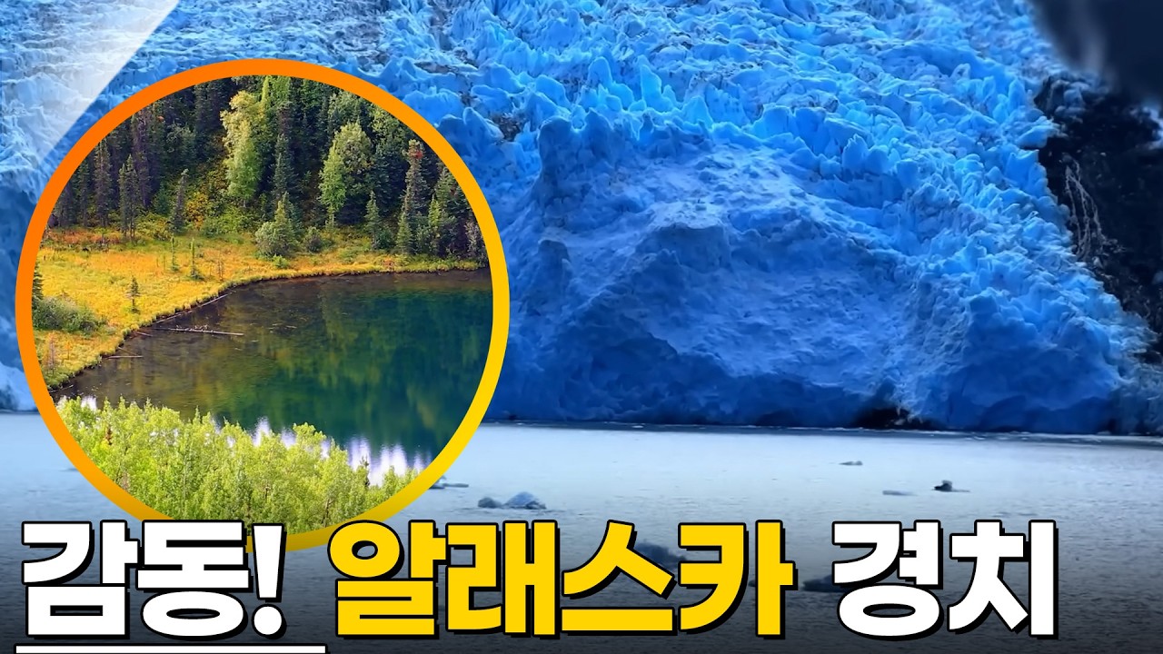 거대한 땅, 그 품에 안긴 대자연의 숨결. 미국 알래스카 [영상앨범 산] KBS 방송