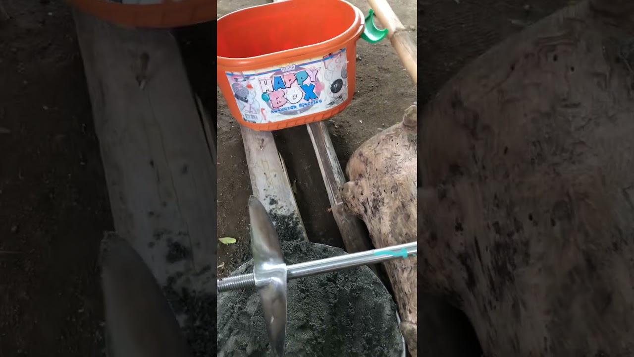 Tamang pag align ng Elise