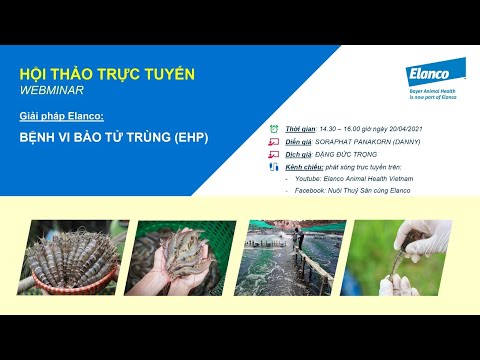 Hội thảo trực tuyến: Giải pháp Elanco về Bệnh vi bào tử trùng (EHP) | ELANCO VIỆT NAM