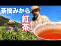 茶摘みから紅茶がつくれちゃうんだよ！完全手作りの紅茶で優雅ティータイム！