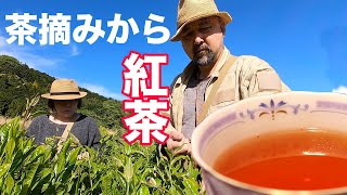 茶摘みから紅茶がつくれちゃうんだよ！完全手作りの紅茶で優雅ティータイム！