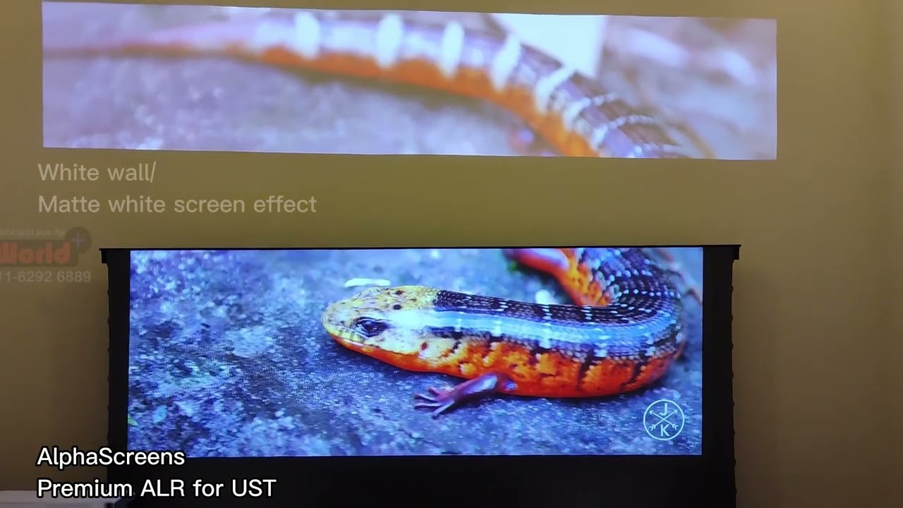 Do You Really Need an ALR Screen? The Ultimate Projector Screen Guide