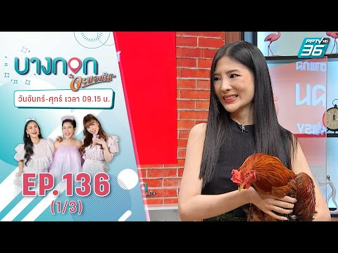 "บางกอก จะบอกให้" | เกือบเป็น "ไก่ต้ม" สู่สัตว์เลี้ยงแสนรักของครอบครัว | 17 มี.ค. 2564 (1/3)