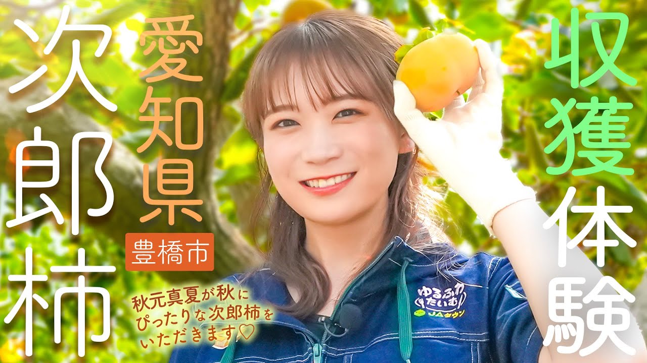 秋元真夏が完全甘柿の「次郎柿」の産地である愛知県へ！