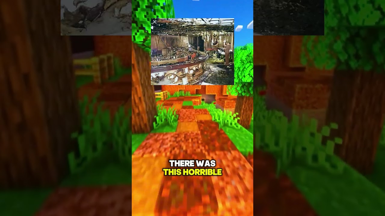 Why Do Doors in Public Places Always Open Outward? The Safety Reason Behind It