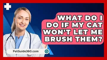 What Do I Do If My Cat Won