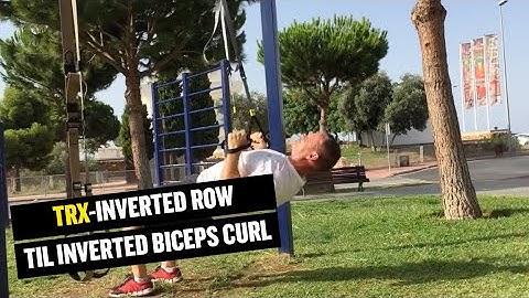 TRX Inverted Row - TRX Inverted Biceps Curl