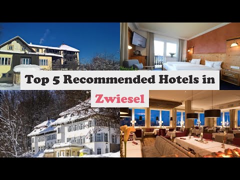Top 5 Recommended Hotels In Zwiesel | Best Hotels In Zwiesel