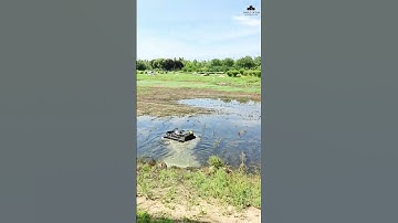 Máy cắt cỏ tự động #maycatco #nongnghiep