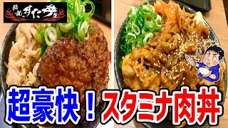 【伝説のすた丼屋】ハンバーグに焼肉の超豪快な爆盛り丼をW盛りで喰らいつく！