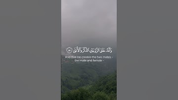 سورة النجم الشيخ ادريس ابكر { وَأَن لَّیۡسَ لِلۡإِنسَـٰنِ إِلَّا مَا سَعَىٰ }[سُورَةُ النَّجۡمِ: ٣٩]
