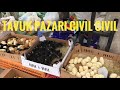 TAVUK PAZARI SAKARYA HENDEK ( CİVCİV TAVUK HOROZ HİNDİ ÖRDEK KAZ KÜMES EKİPMANLARI)