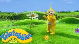 Teletubbies Summer Adventure With Giant Flowers 2 Hours Official Season 16 Compilation