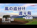 一条貫太「風の追分け渡り鳥」coverひろし(-3) 2022年12月14日発売