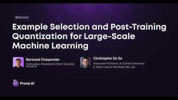 Example Selection and Post-Training Quantization for Large-Scale Machine Learning