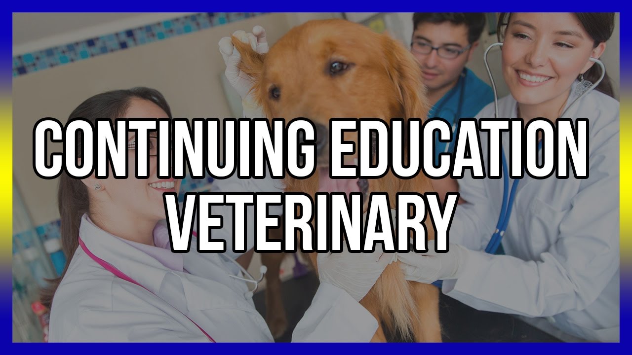 online veterinary continuing education courses