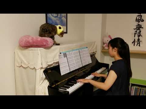 全力少年     スキマスイッチ        ピアノ        ～猫と一緒～