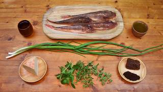 Ancient Greek Tub Gurnard