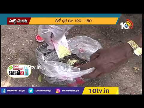 ట్రై‌కో‌డెర్మా విరిడె‌తో తెగుళ్ల నివారణ | Pest control with Trichoderma viride | Matti Manishi |10TV